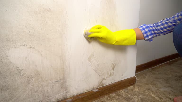 Best Dehumidification Services  in Gilbert, AZ
