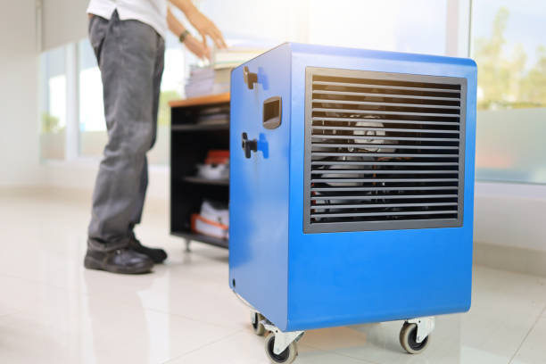 Best Mold Damage Restoration  in Gilbert, AZ