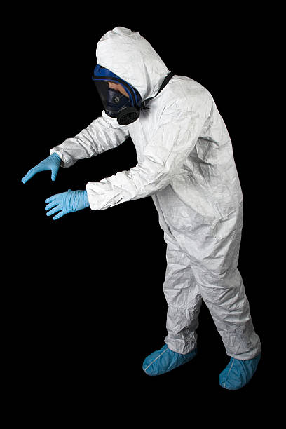 Best Mold Removal for HVAC Installations  in Gilbert, AZ